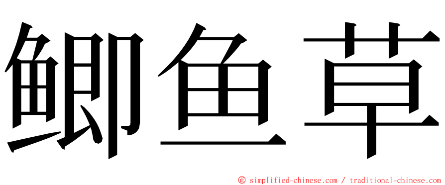 鲫鱼草 ming font