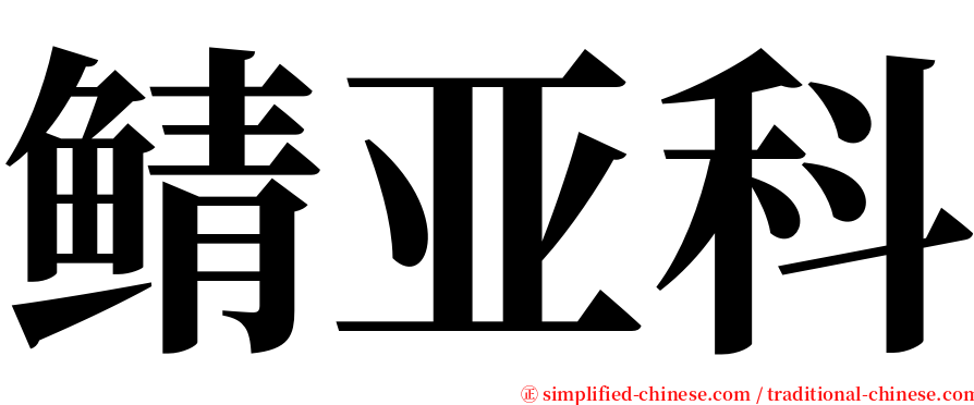 鲭亚科 serif font