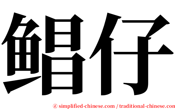 鲳仔 serif font