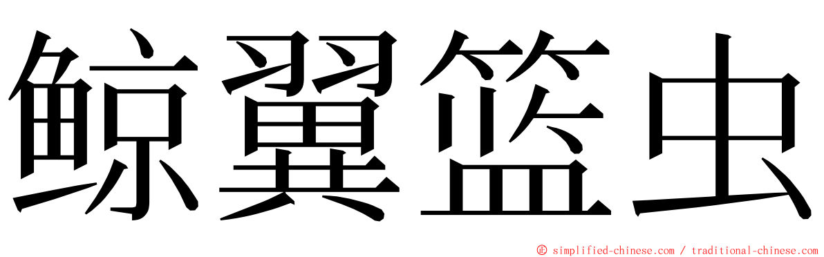 鲸翼篮虫 ming font