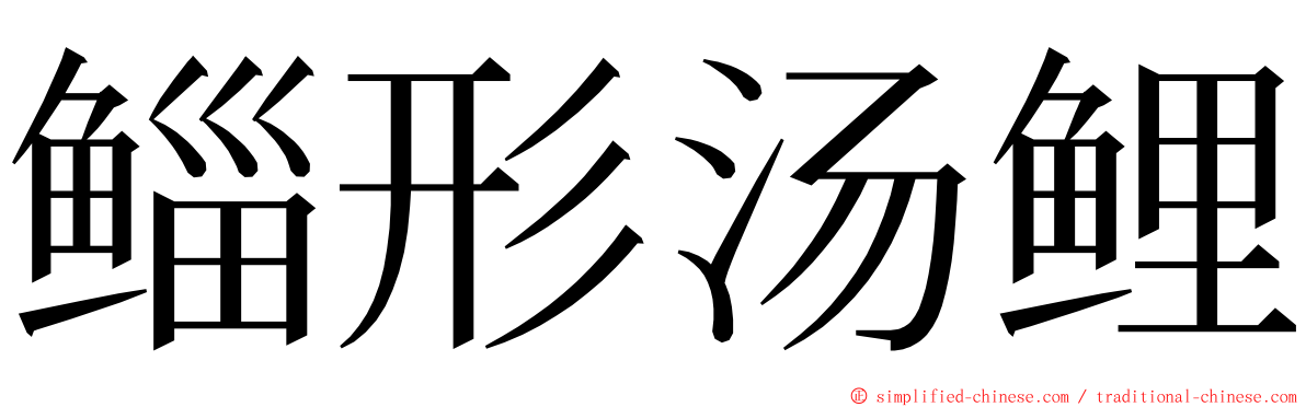 鲻形汤鲤 ming font