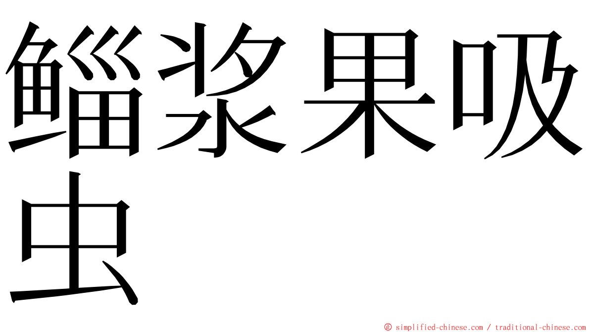 鲻浆果吸虫 ming font