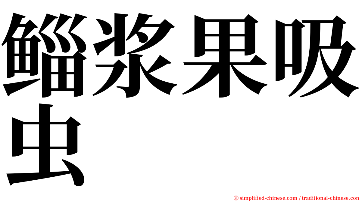 鲻浆果吸虫 serif font