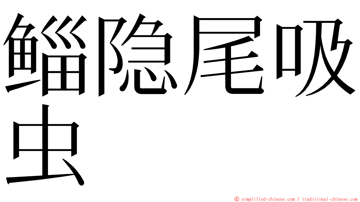 鲻隐尾吸虫 ming font