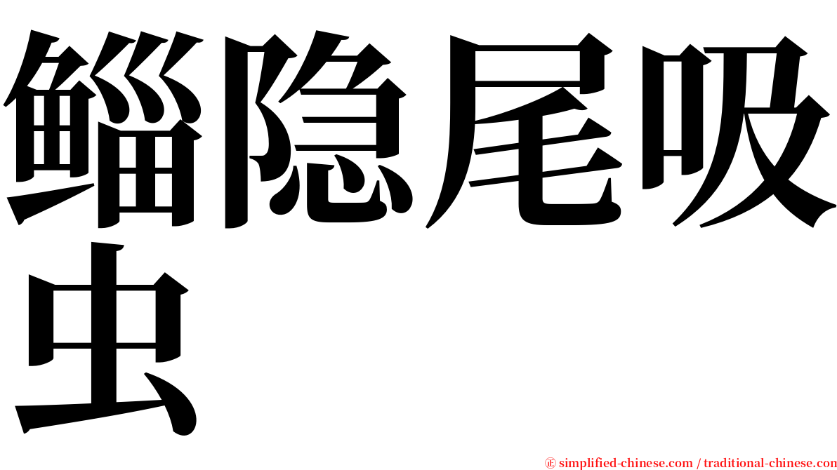 鲻隐尾吸虫 serif font