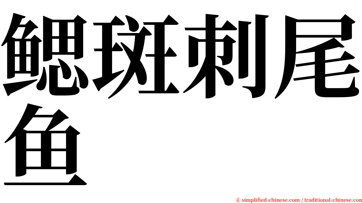 鳃斑刺尾鱼 serif font