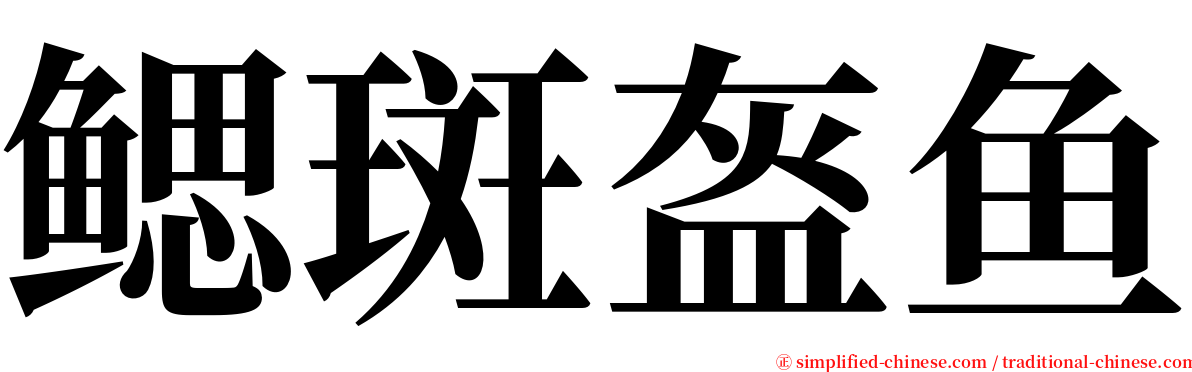 鳃斑盔鱼 serif font