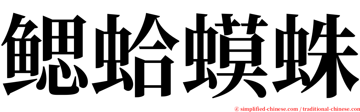 鳃蛤蟆蛛 serif font