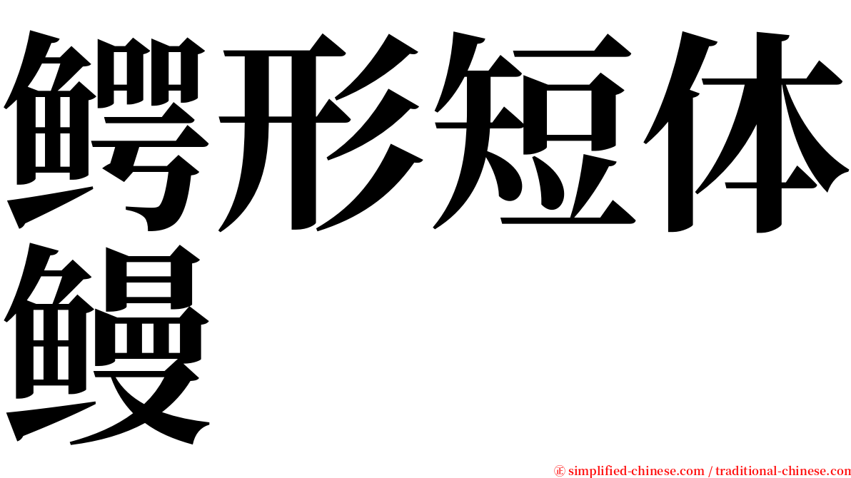 鳄形短体鳗 serif font