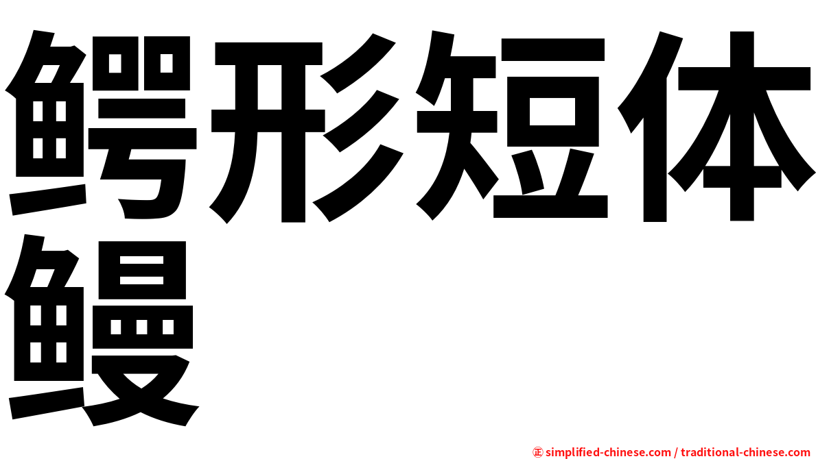 鳄形短体鳗