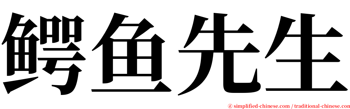 鳄鱼先生 serif font