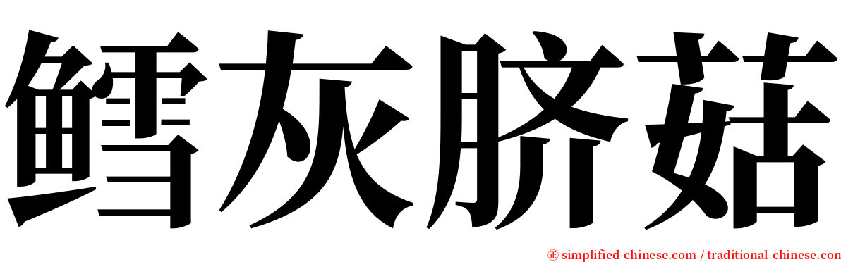 鳕灰脐菇 serif font