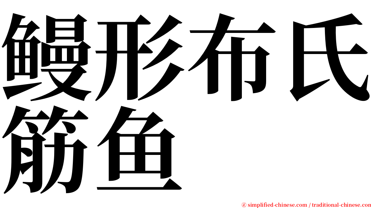 鳗形布氏筋鱼 serif font