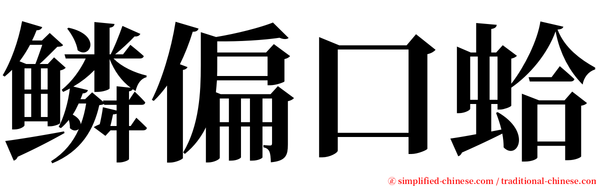 鳞偏口蛤 serif font