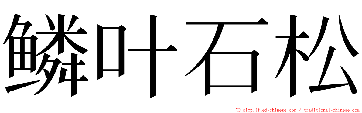 鳞叶石松 ming font