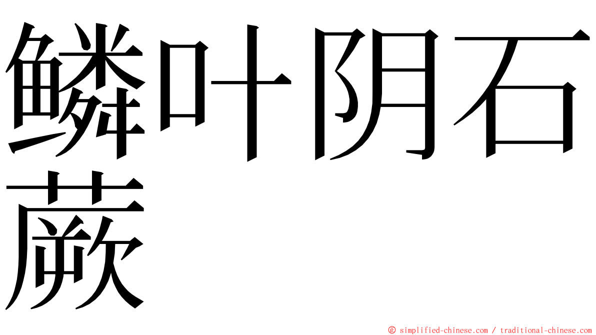 鳞叶阴石蕨 ming font