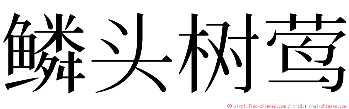 鳞头树莺 ming font