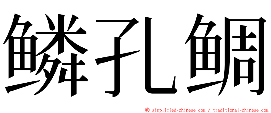 鳞孔鲷 ming font