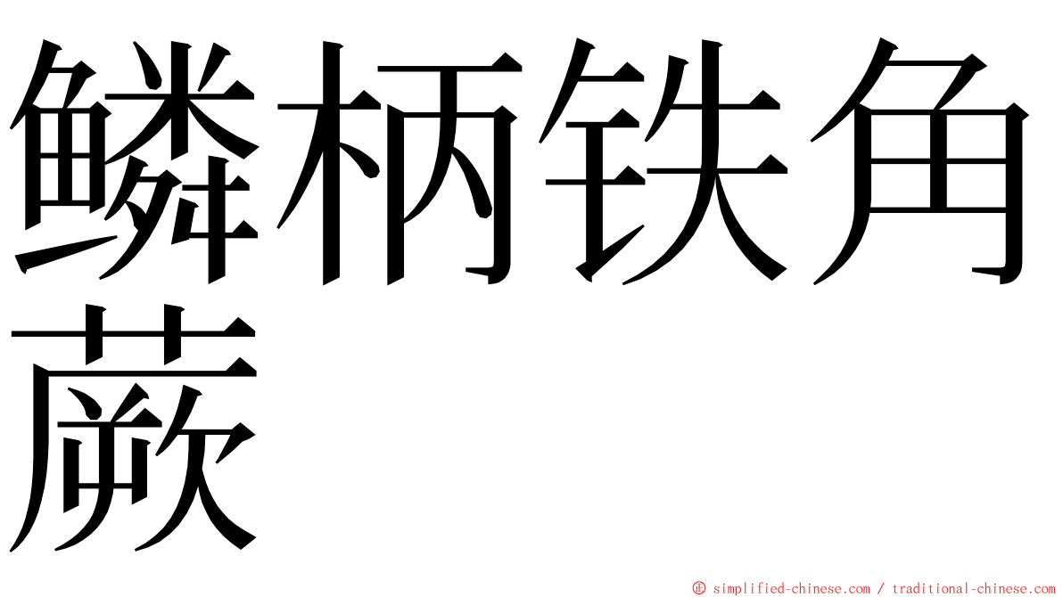 鳞柄铁角蕨 ming font