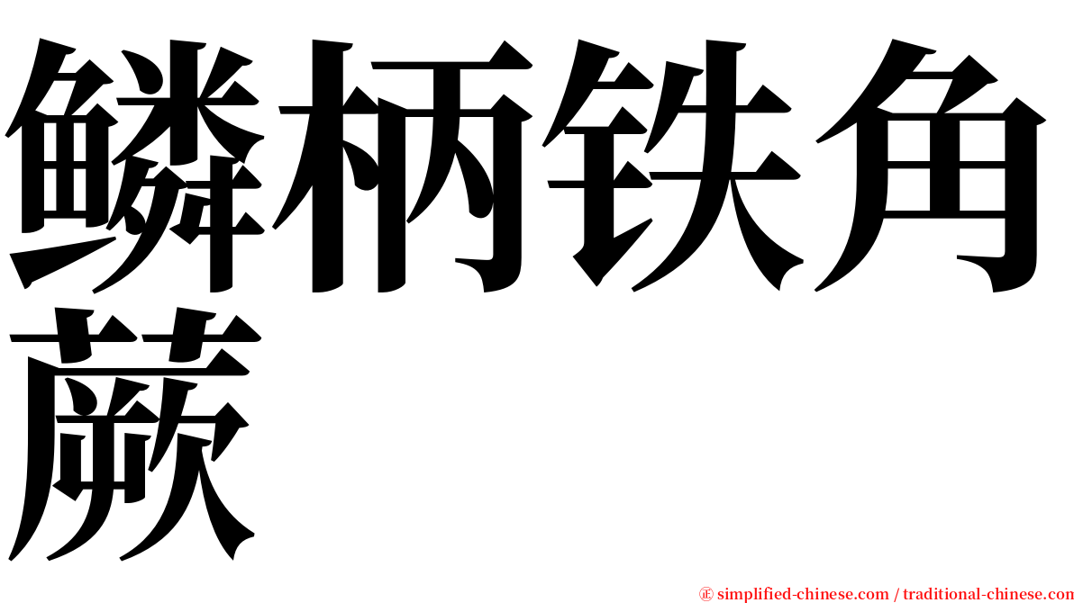 鳞柄铁角蕨 serif font