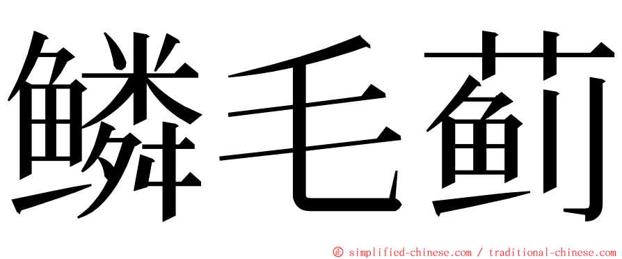 鳞毛蓟 ming font