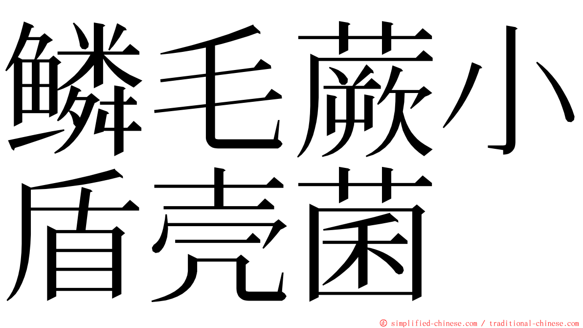 鳞毛蕨小盾壳菌 ming font