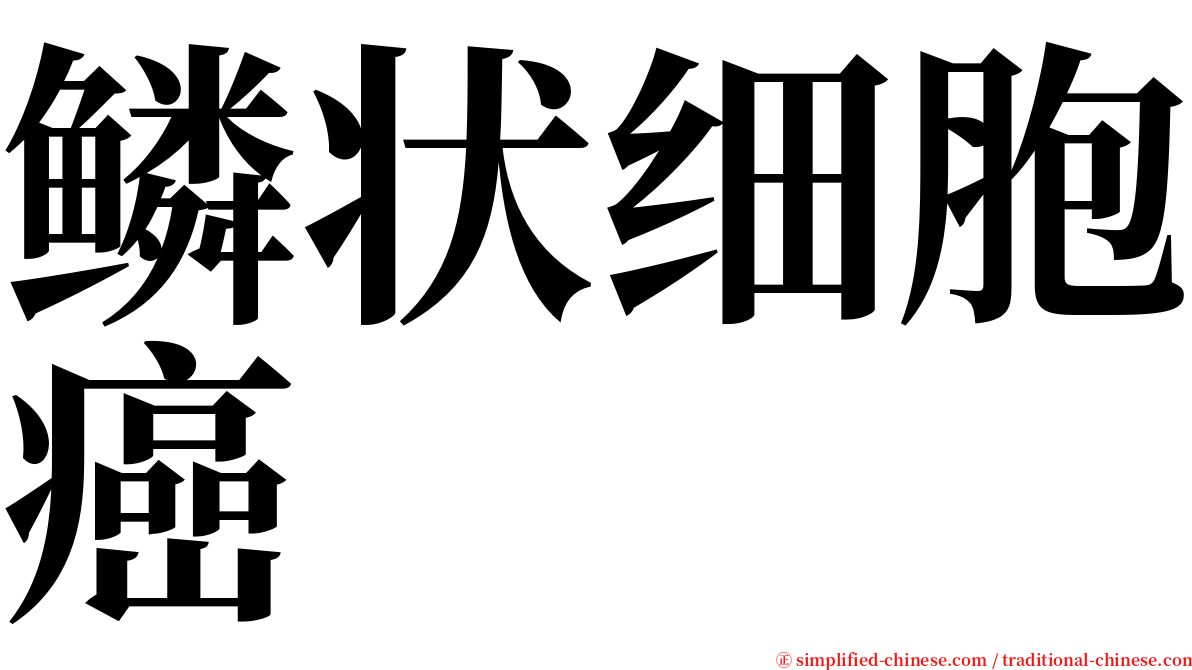 鳞状细胞癌 serif font