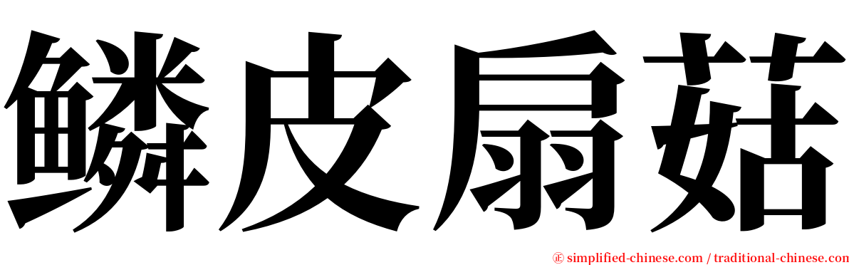 鳞皮扇菇 serif font