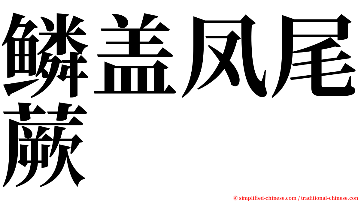 鳞盖凤尾蕨 serif font