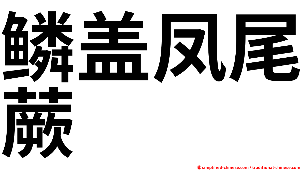 鳞盖凤尾蕨