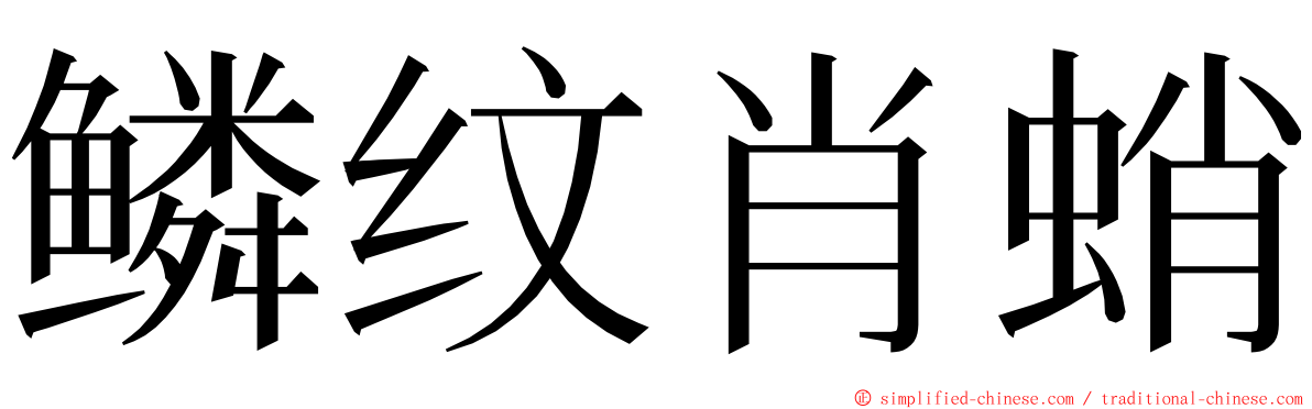 鳞纹肖蛸 ming font