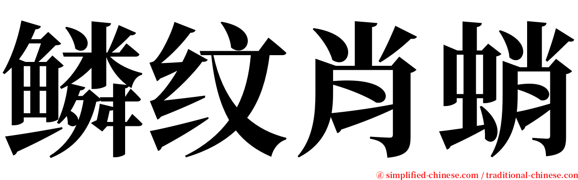 鳞纹肖蛸 serif font