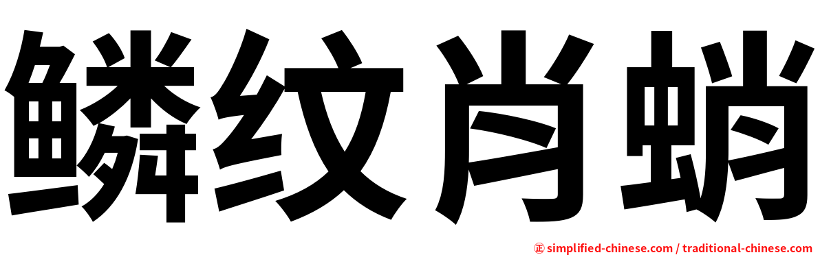 鳞纹肖蛸