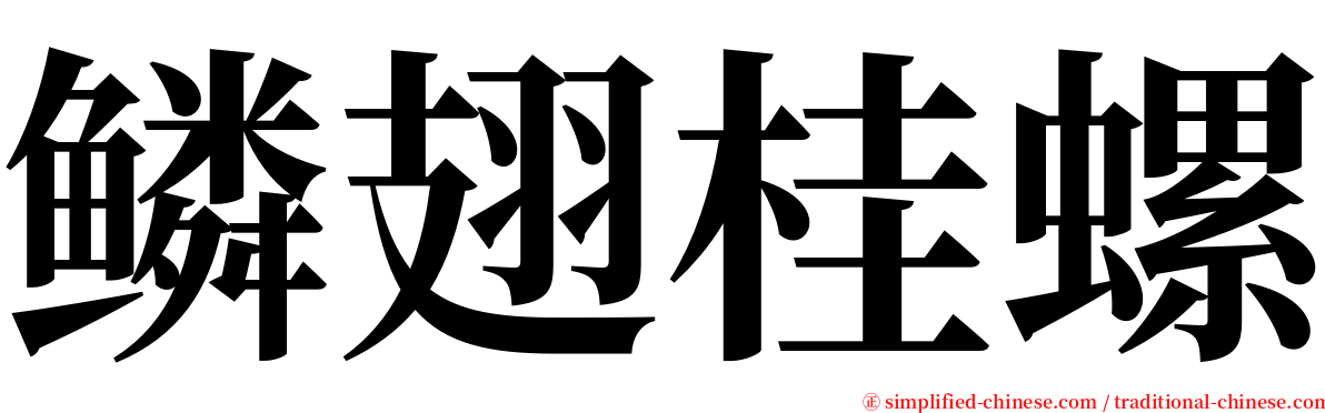 鳞翅桂螺 serif font