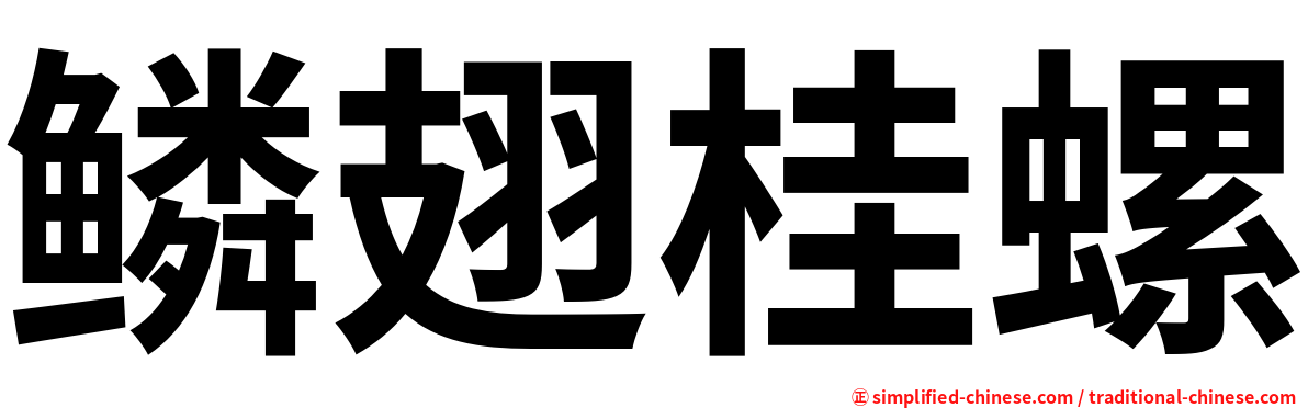 鳞翅桂螺