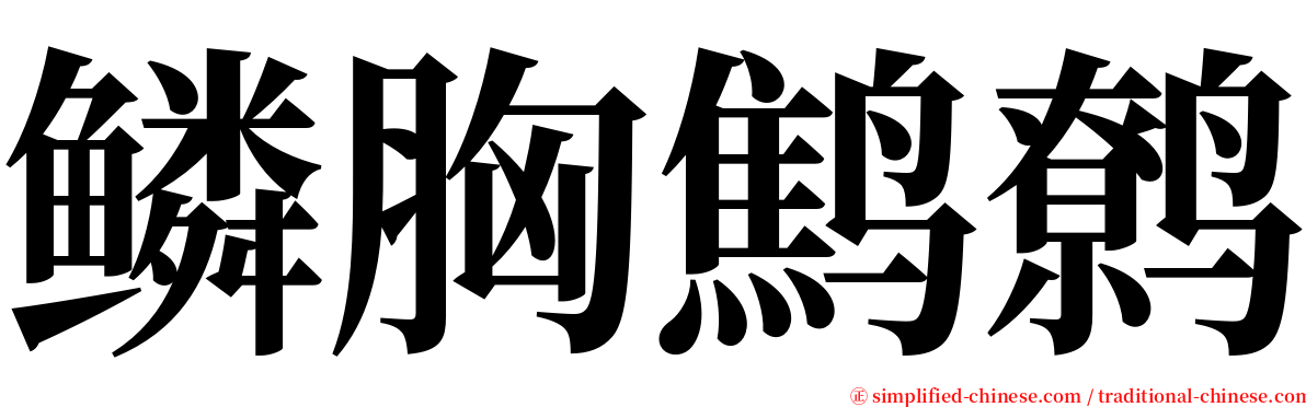 鳞胸鹪鹩 serif font