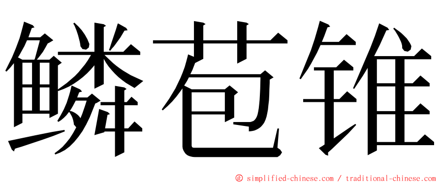 鳞苞锥 ming font