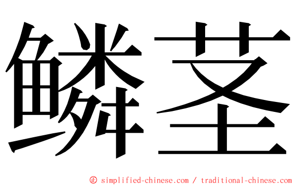 鳞茎 ming font