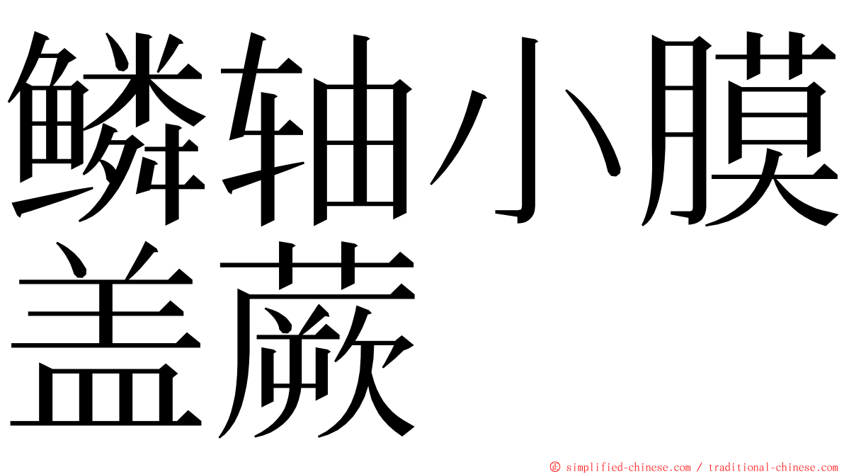 鳞轴小膜盖蕨 ming font