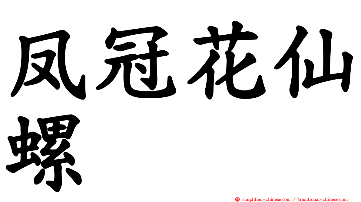 凤冠花仙螺