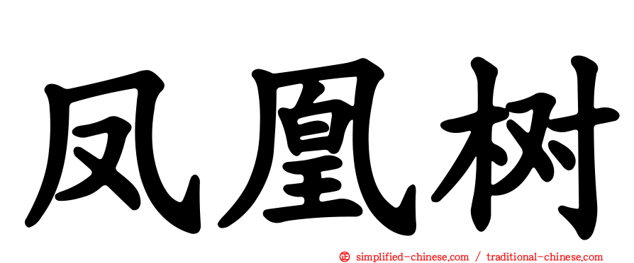 凤凰树