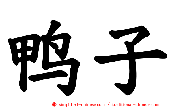 鸭子