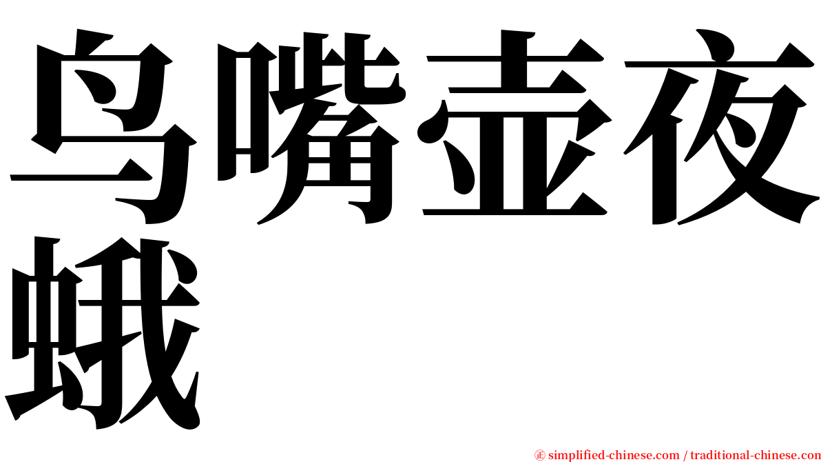 鸟嘴壶夜蛾 serif font