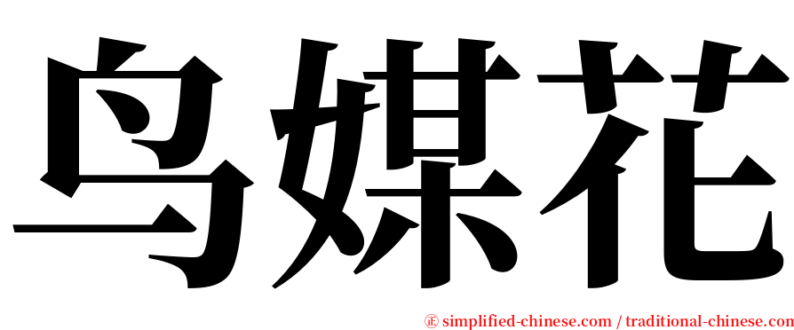 鸟媒花 serif font