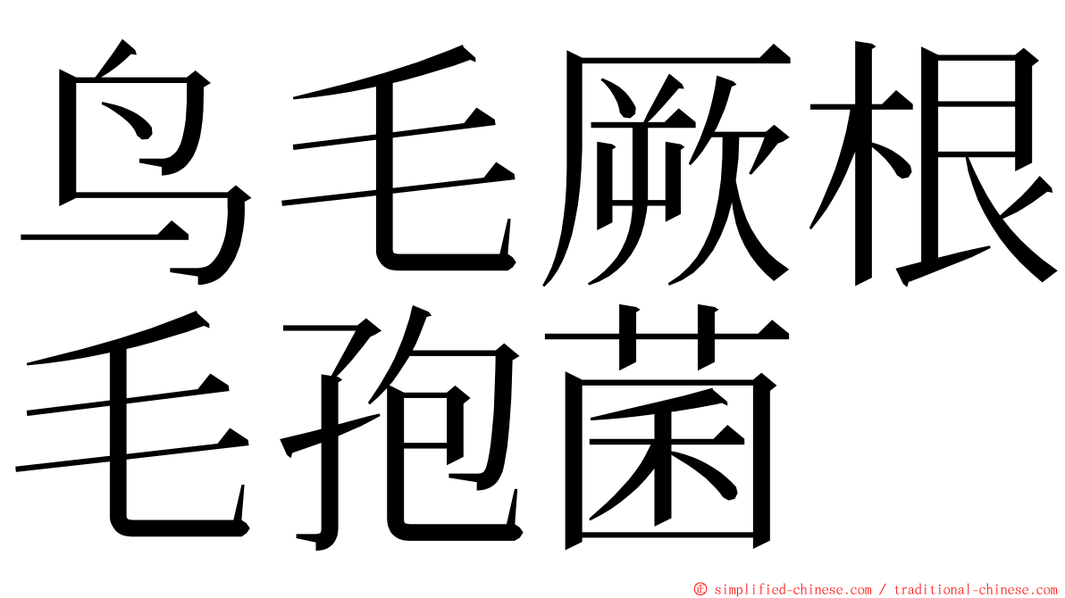 鸟毛厥根毛孢菌 ming font