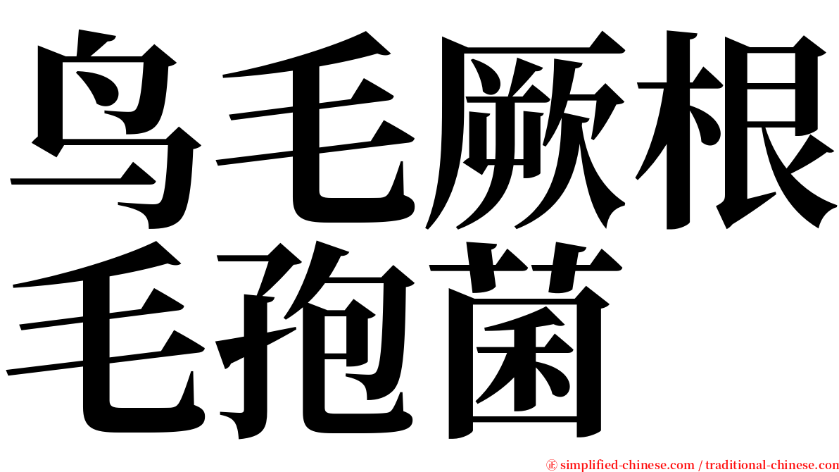 鸟毛厥根毛孢菌 serif font