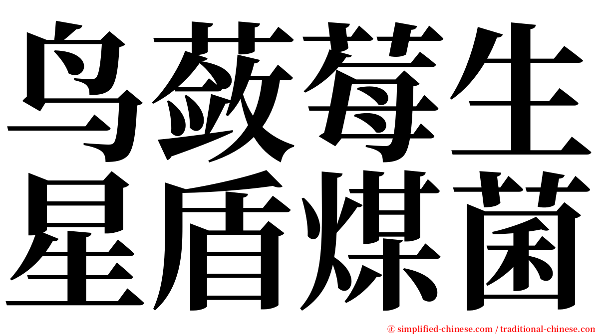 鸟蔹莓生星盾煤菌 serif font