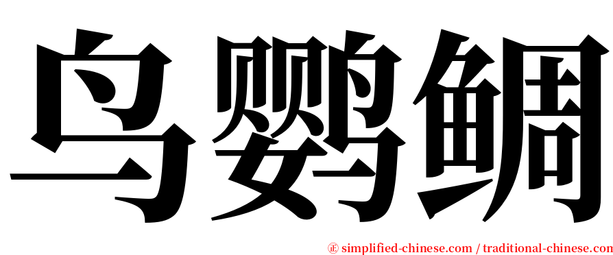 鸟鹦鲷 serif font