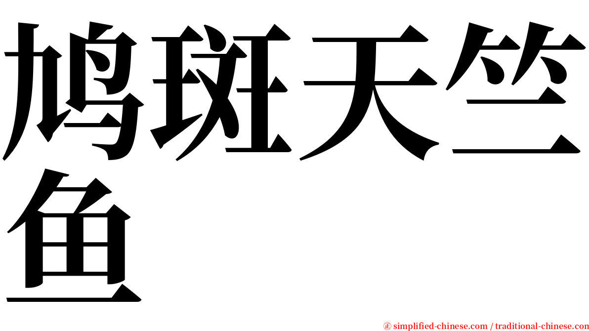 鸠斑天竺鱼 serif font