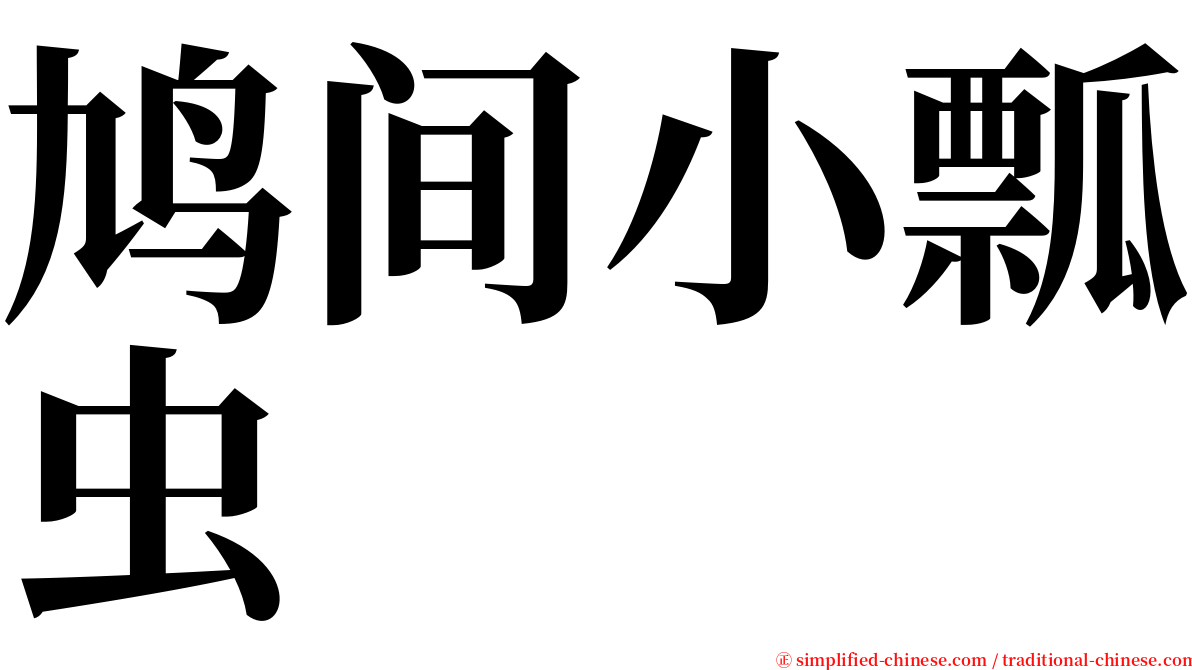 鸠间小瓢虫 serif font